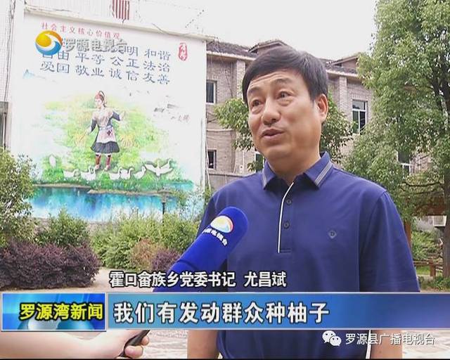 柚子园种植致富_致富柚子种植园图片_柚子苗基地