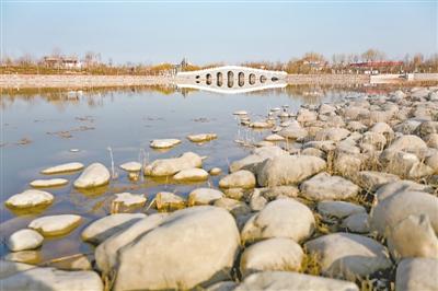 致富种植视频全集_种植致富经_新民种植致富