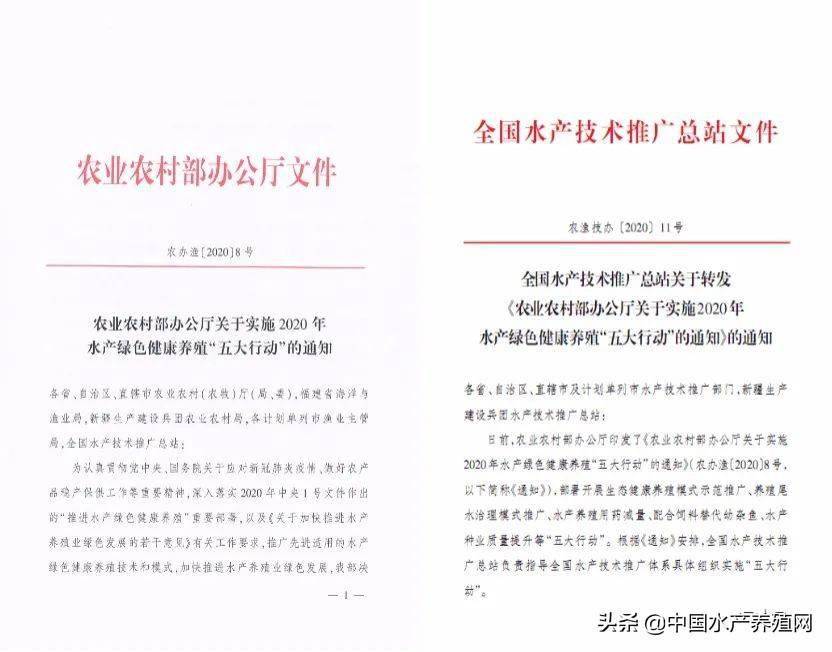 农业农村部助力5种尾水处理模式，不能让尾水问题制约产业发展