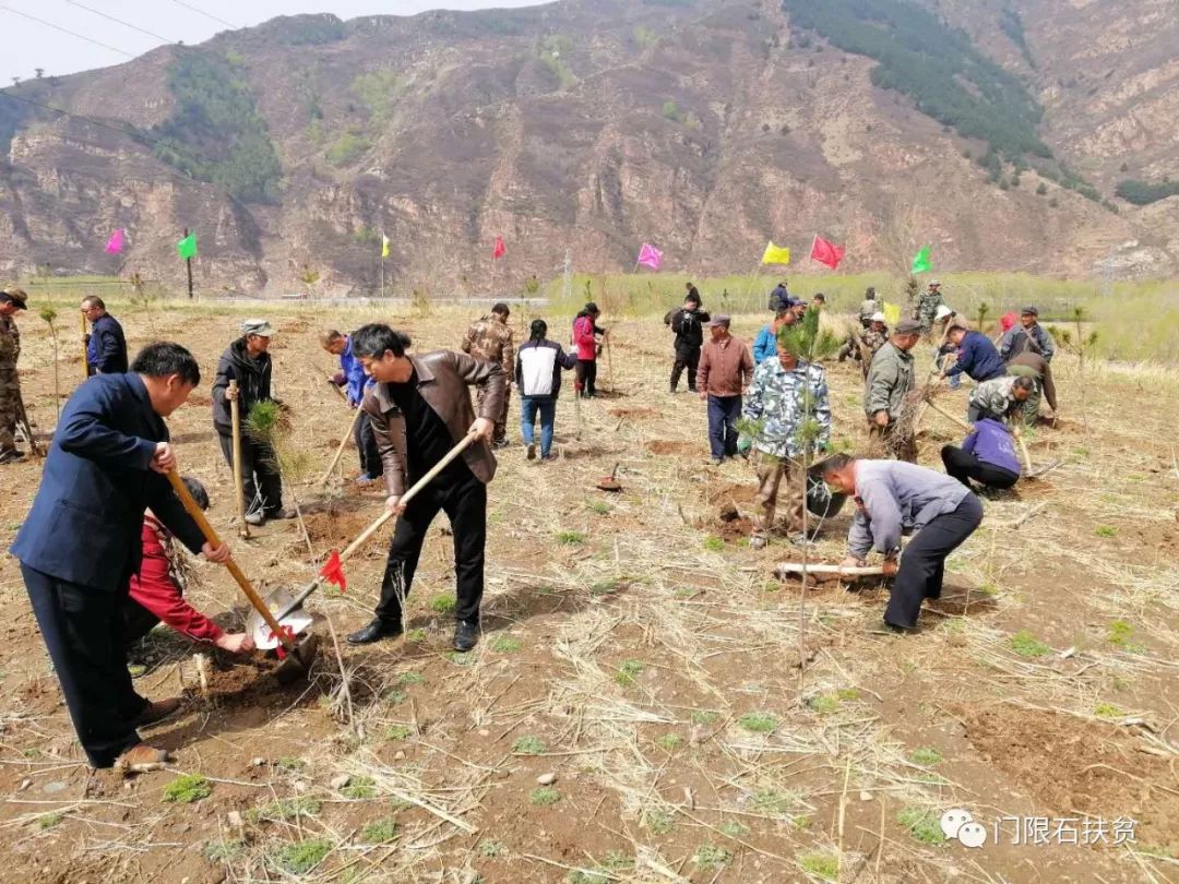 致富种植沙棘项目简介_关于种植沙棘要求的视频报道_沙棘种植致富项目