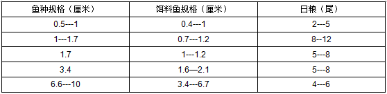 土鲫鱼养殖技术_养殖鲫鱼的池塘条件_鲫鱼养殖技术与鱼塘管理