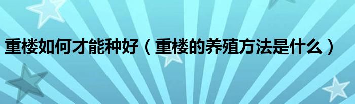 重楼的养殖技术_重楼养殖方法视频_种植重楼技术