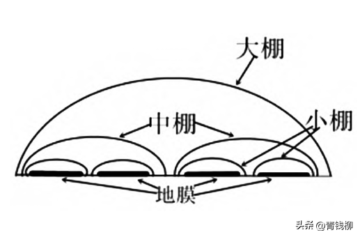 大棚博洋甜瓜多膜覆盖优质高效栽培技术