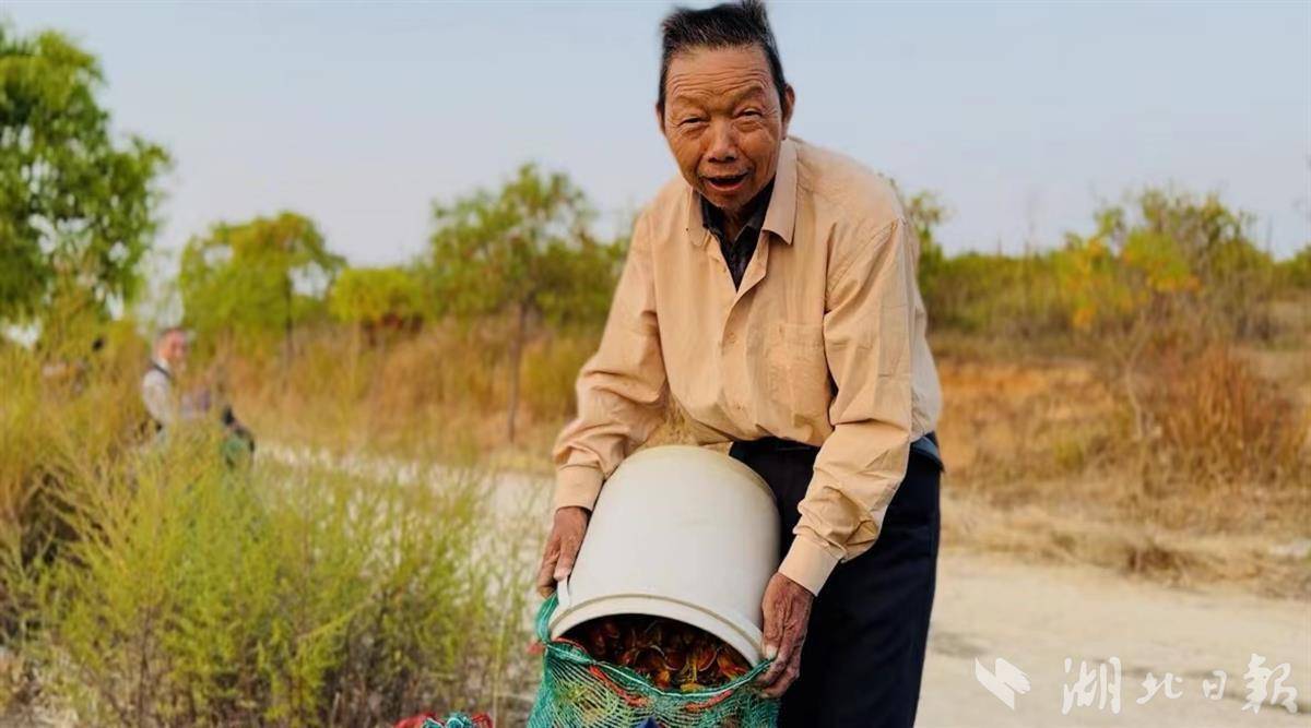 清凉种植致富果_清凉致富种植果园在哪里_清凉的果子叫什么