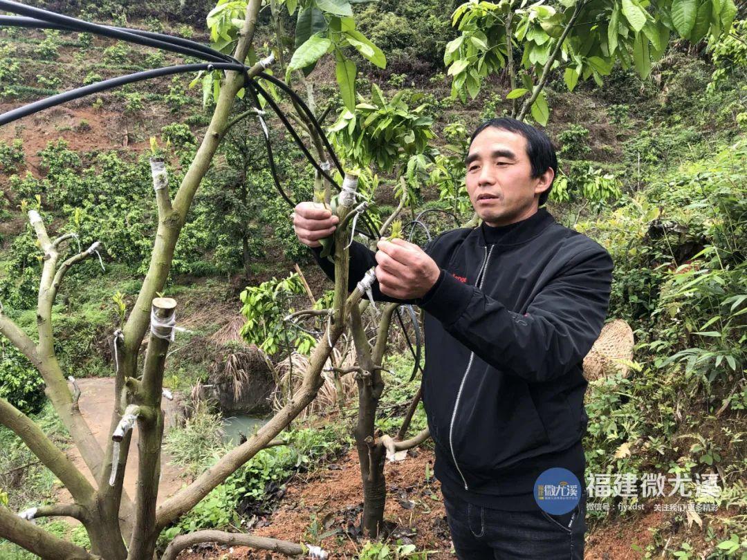 尤溪蔬菜基地_致富种植尤溪项目有哪些_尤溪种植致富项目