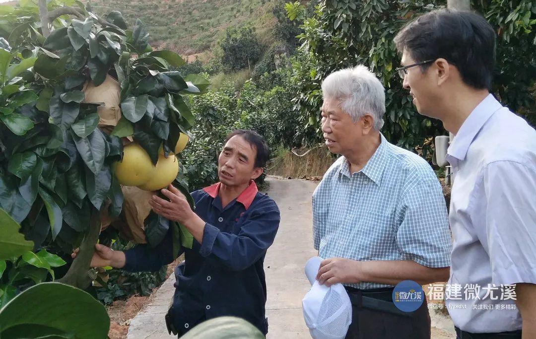 尤溪蔬菜基地_尤溪种植致富项目_致富种植尤溪项目有哪些