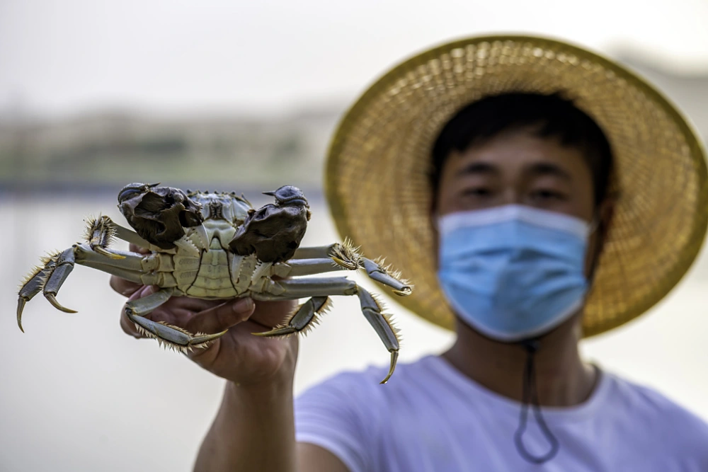 养殖泥鳅成熟技术有哪些_泥鳅养殖技术成熟吗_养殖泥鳅成熟技术视频