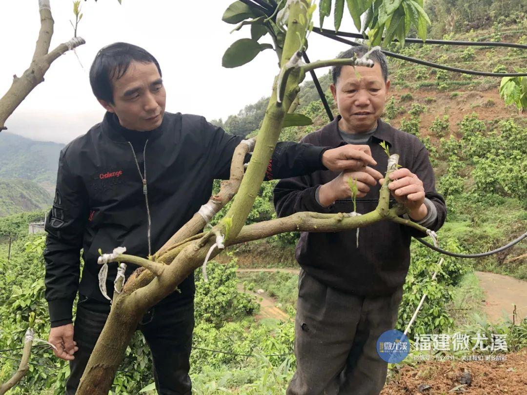 尤溪种植致富项目_尤溪蔬菜基地_尤溪县富农食用菌专业合作社