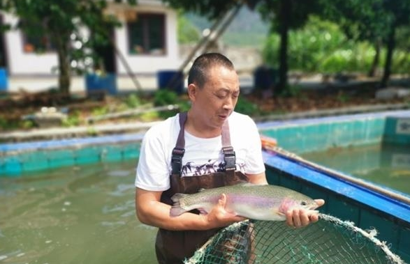 鲑鳟鱼养殖技术_无公害鲑鳟鱼养殖技术规程_鲑鳟鱼饲料