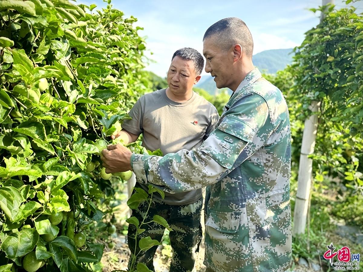 致富经百香果上思县_致富经百香果上思县_致富经百香果上思县