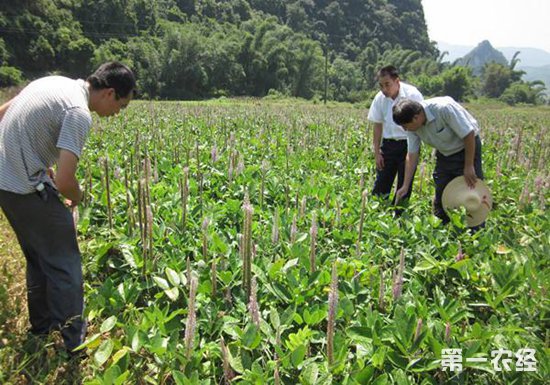 青海：村民尕藏多杰托起了拉西瓦镇群众的脱贫致富梦