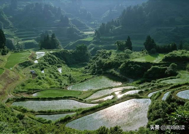 领域认证优质回答经验分享_怎么获得优质回答_什么叫优质回答