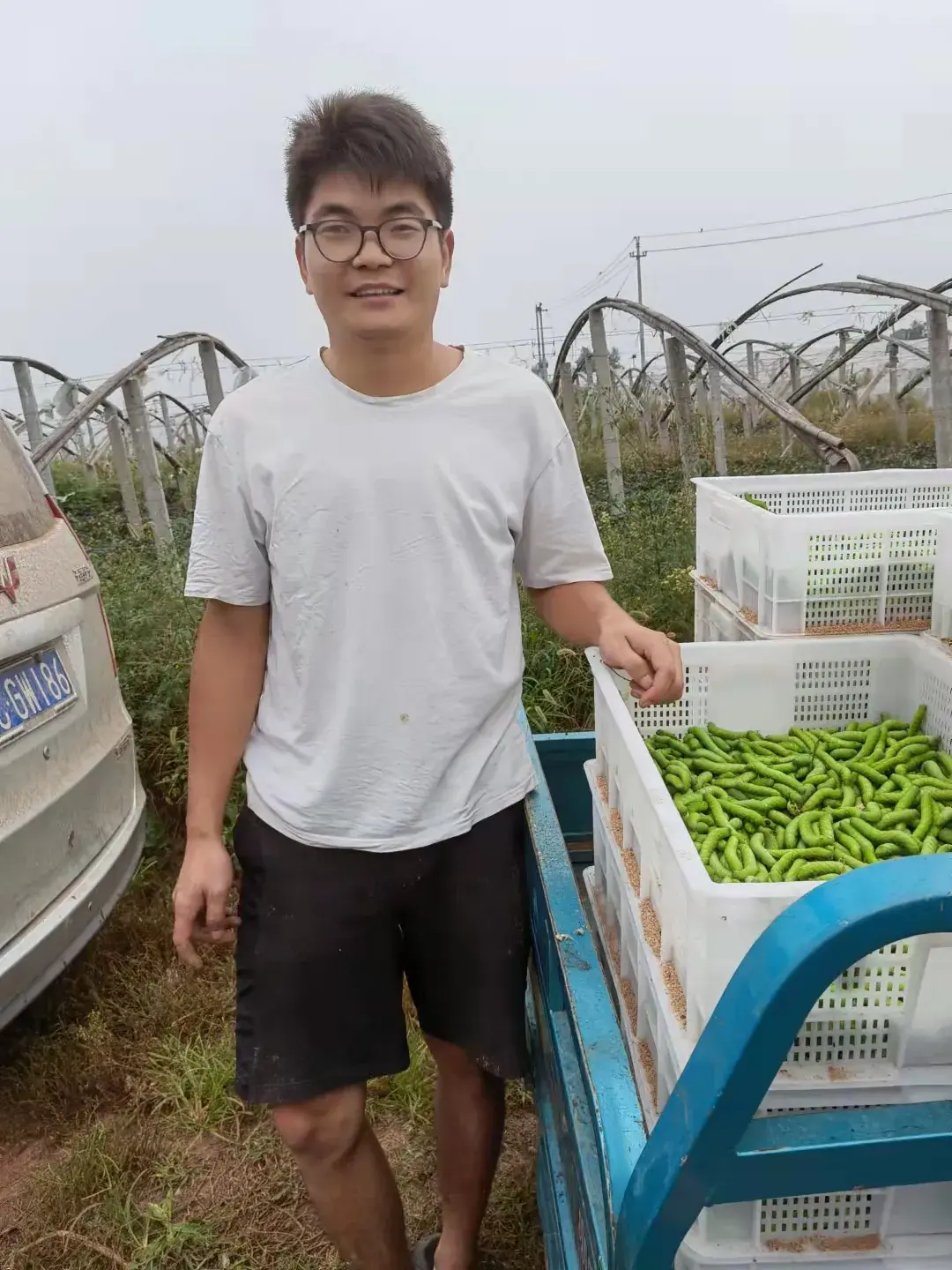 致富经养豆虫养殖视频_视频致富养殖豆虫在线观看_致富经豆虫养殖视频