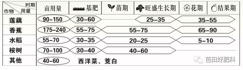 种植莲藕技术部具备的能力_种植莲藕技术视频_种植莲藕技术