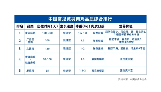 大种青脚鸡苗_青脚鸡能长多少斤_青脚鸡养殖技术