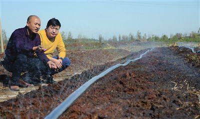 养殖地龙致富_致富养殖地龙怎么样_养殖地龙赚钱吗