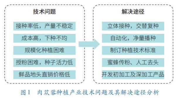 植物防沙工程与沙产业的融合发展——以肉苁蓉种植产业为例