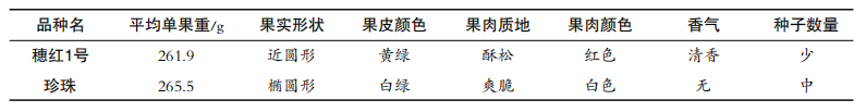 石榴图解种植方法技术与管理_石榴种植技术方法图解_石榴种植图片