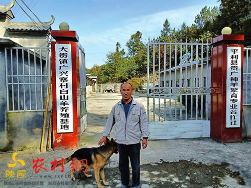 平利县广兴寨村村民汪柱 返乡创业的致富带头人