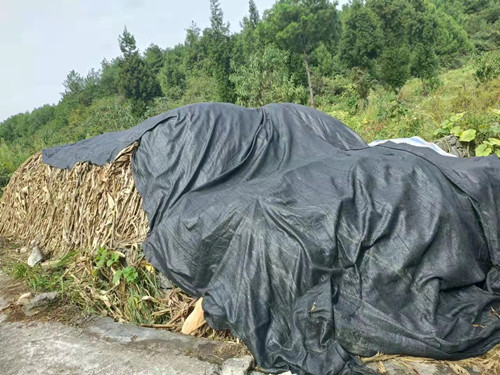 致富种植视频全集_致富经农业种植_种植结合致富新路