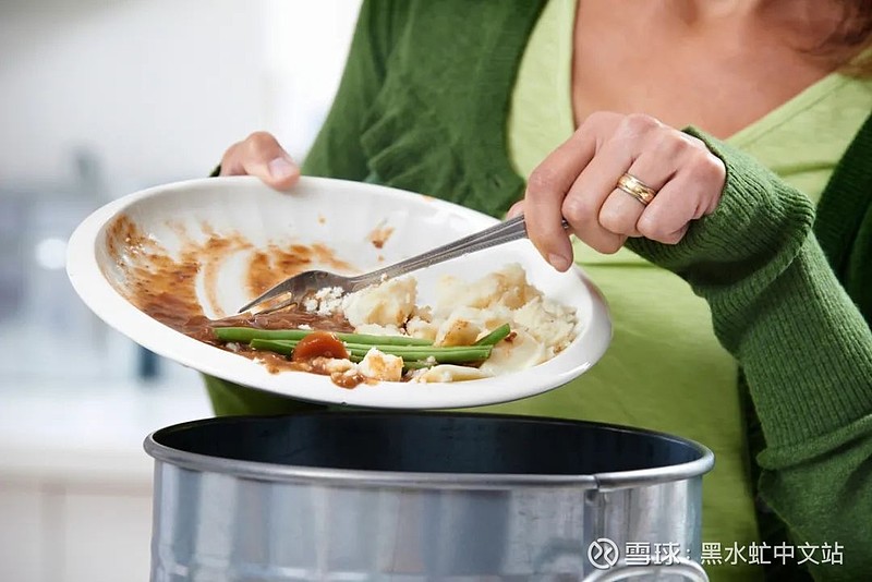 技术：黑水虻处理餐饮垃圾的技术分析与应用探讨