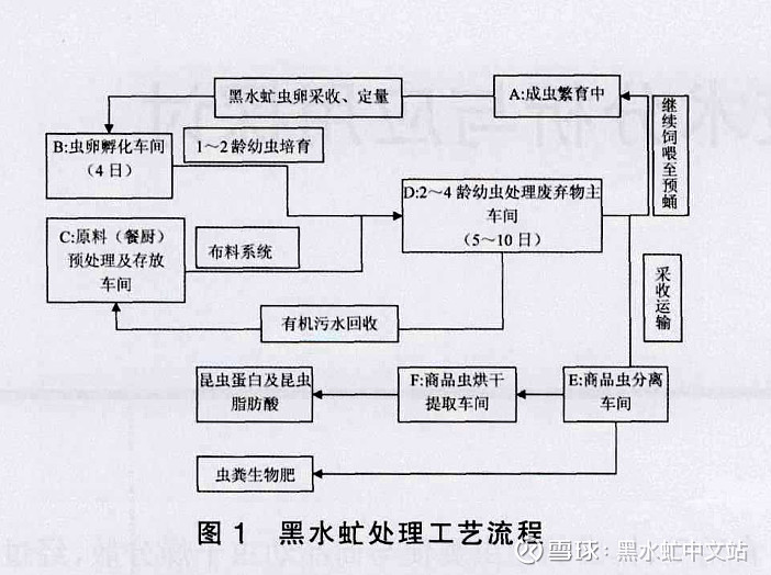 养殖蚯蚓技术书籍推荐_养殖技术蚯蚓_养殖蚯蚓技术高吗