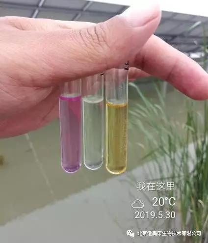 龙虾养殖教程书_龙虾养殖技术大全视频教程_学龙虾养殖技术