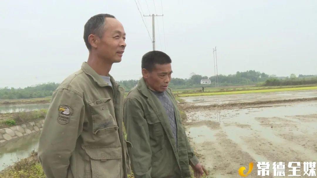 浙江金华种植致富人物_浙江致富项目_浙江致富经