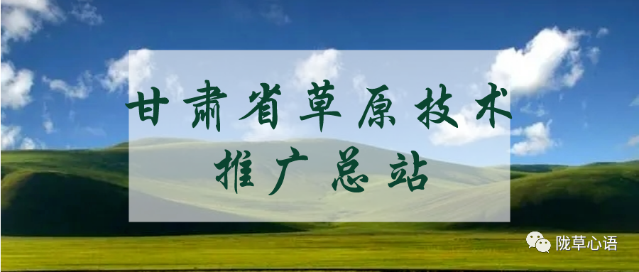 2023年甘肃省林草系统新媒体宣传能力提升培训班在天水市举办