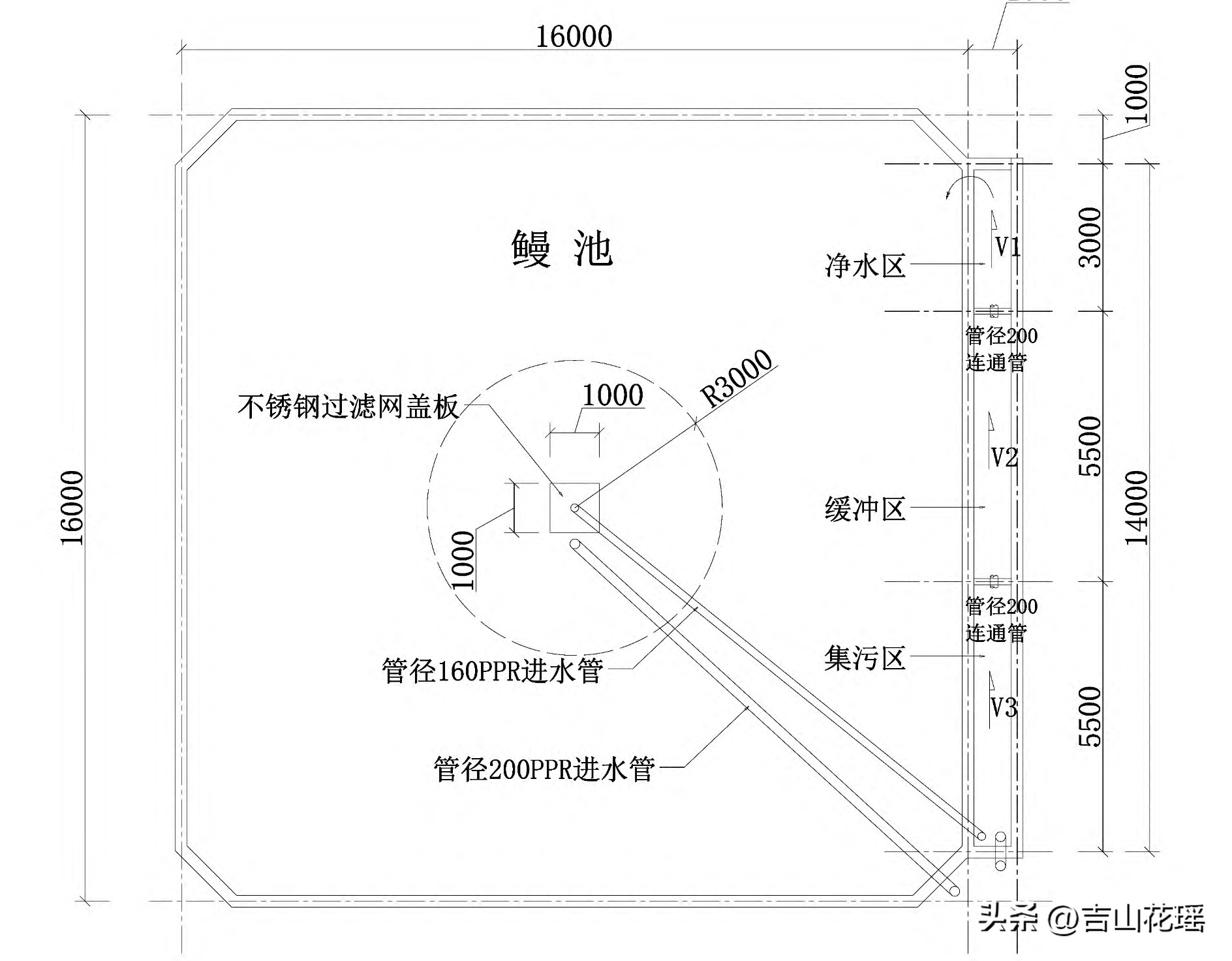 养殖鳗鱼技术小结怎么写_养殖鳗鱼需要什么条件_小鳗鱼怎么养殖技术