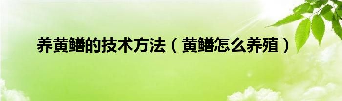 养黄鳝的技术方法（黄鳝怎么养殖）