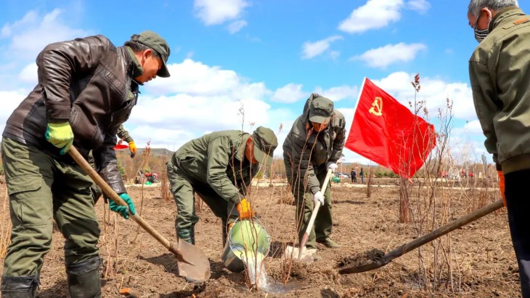 东北种植业什么最赚钱_东北农村种植业什么项目好_东北致富种植项目