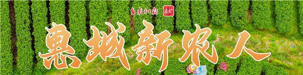 惠城新农人｜杨柳香：种出甜蜜果，摘得致富经