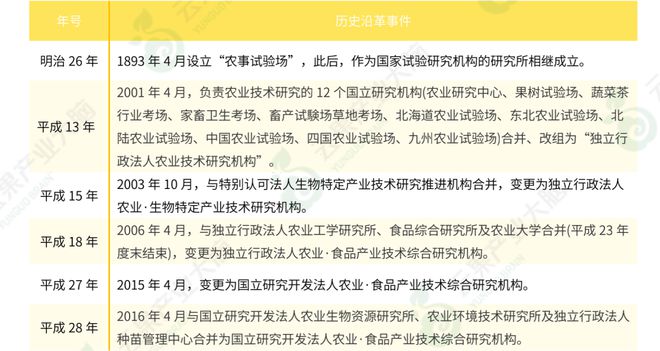 玫瑰种植方法技术视频_玫瑰种植技术及方法_玫瑰种植方法和注意事项