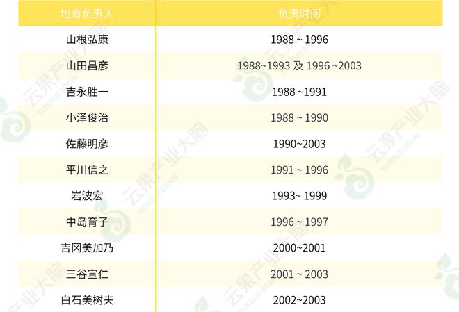 玫瑰种植技术及方法_玫瑰种植方法技术视频_玫瑰种植方法和注意事项