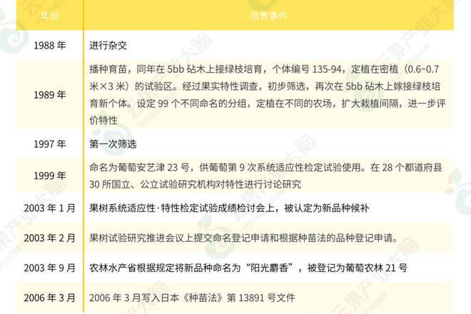 玫瑰种植方法和注意事项_玫瑰种植方法技术视频_玫瑰种植技术及方法