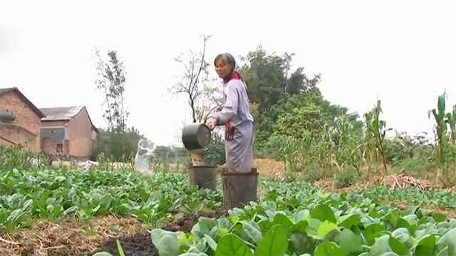 广西生态养鱼致富经_广西养鱼基地_致富经广西山区养鱼