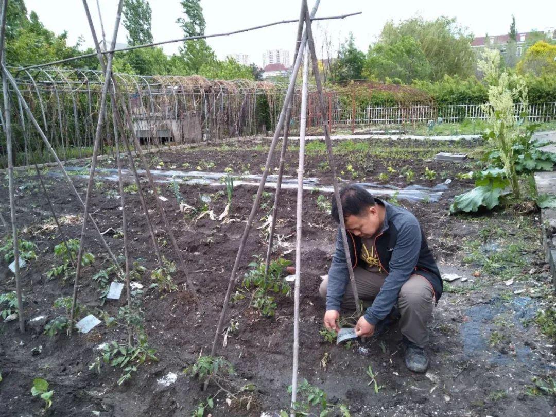 致富东北种植行业怎么样_东北种植致富行业_适合东北种植致富项目