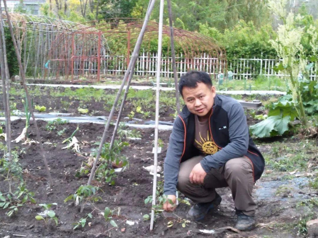 致富东北种植行业怎么样_适合东北种植致富项目_东北种植致富行业