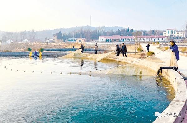 广西养鱼基地_广西养鱼基地联系电话_广西生态养鱼致富经