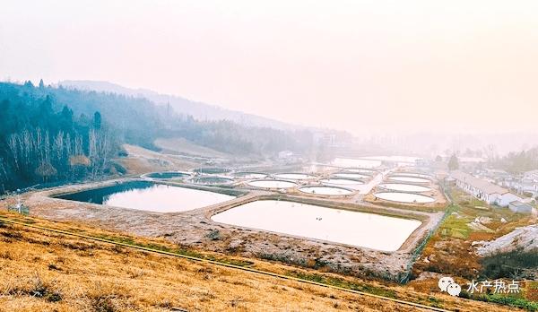 广西养鱼基地联系电话_广西生态养鱼致富经_广西养鱼基地