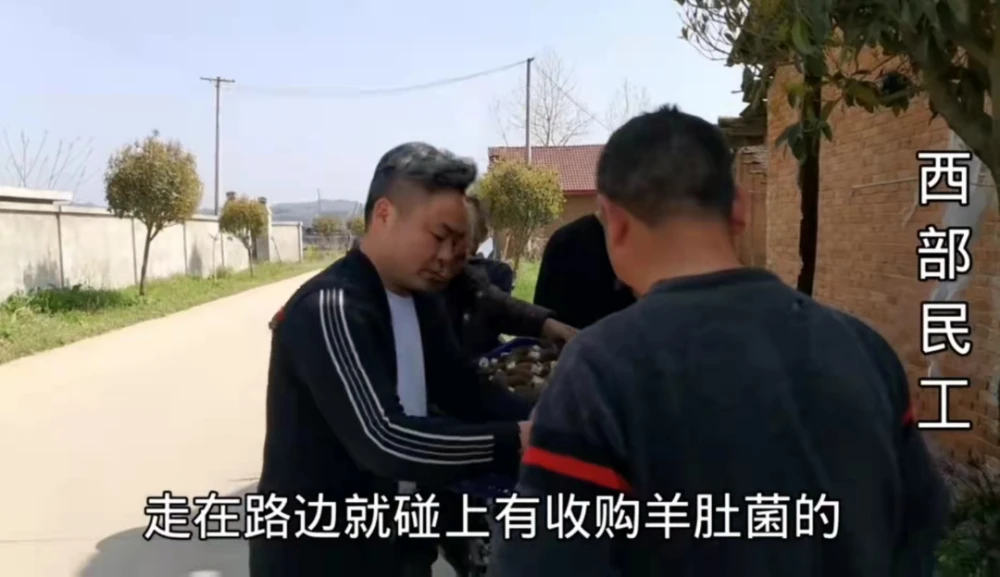 东北致富种植项目_东北种植什么赚钱_东北农村种植业什么项目好