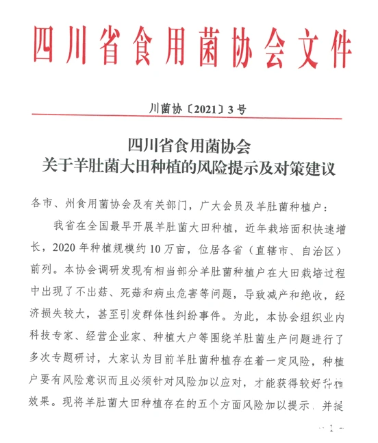 东北农村种植业什么项目好_东北种植什么赚钱_东北致富种植项目