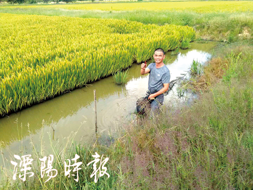 溧阳市人民政府