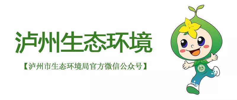 全国数字生态优秀应用案例：《大数据与环境监管网格化下沉应用泸州实践》