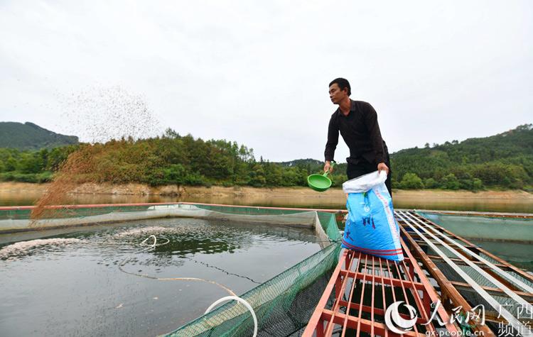 跪肉蜿草鱼养殖致富经_养殖草鱼的条件_致富经养殖草鱼视频