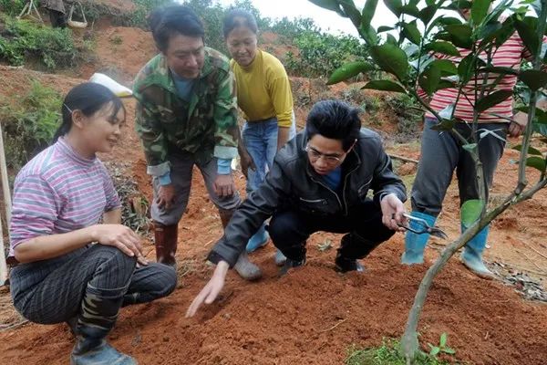 农村致富项目种植_致富种植视频全集_山上种植致富项目