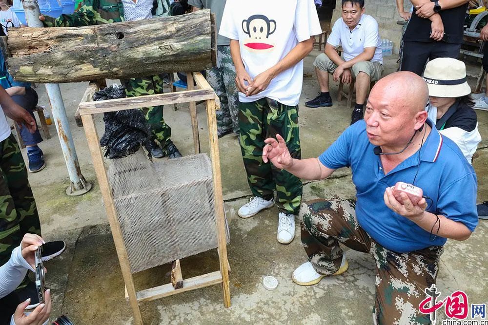 致富养殖炒菜赚钱吗_养殖致富之路_致富养殖各种炒菜