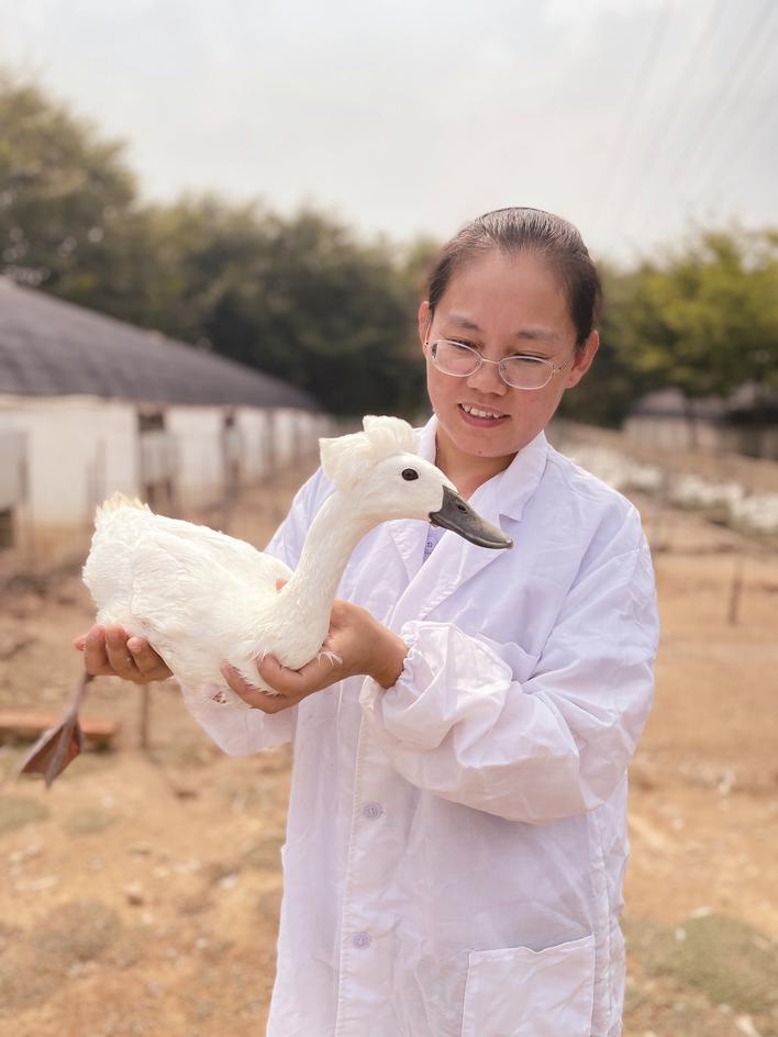 养殖土元需要办理什么手续_养殖土元效益如何_土元生态养殖技术