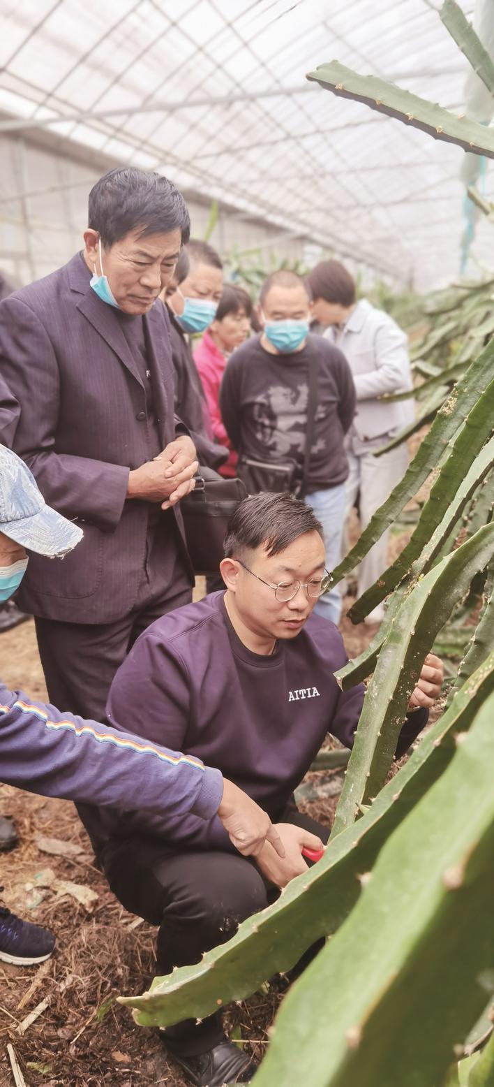 养殖土元需要办理什么手续_养殖土元效益如何_土元生态养殖技术